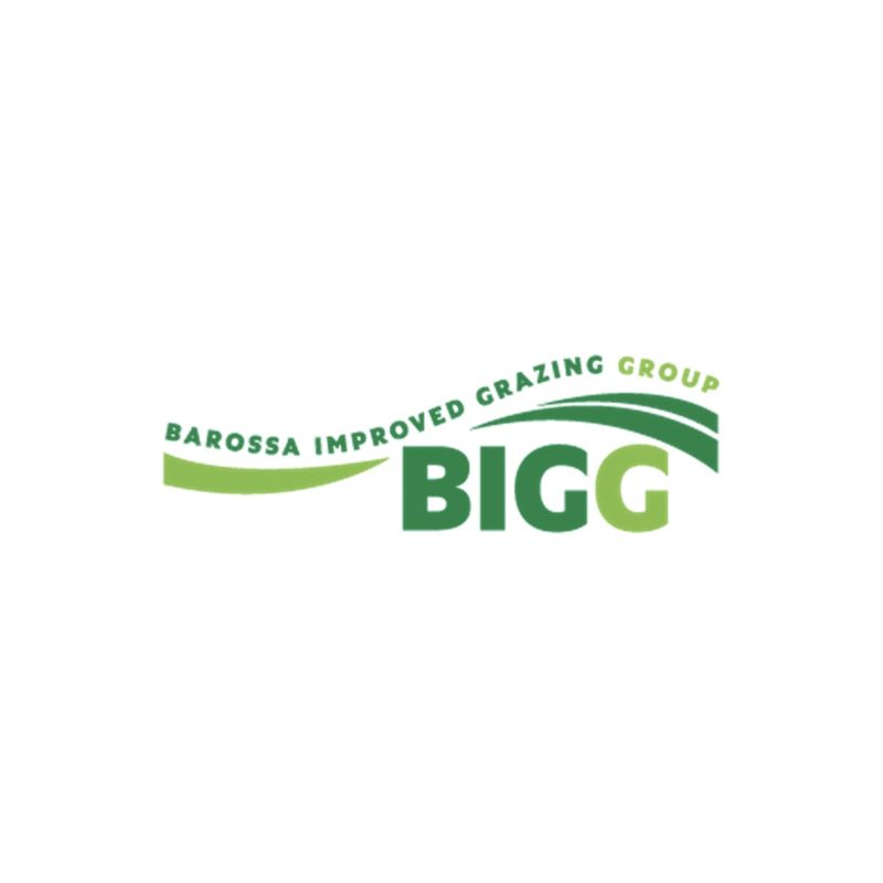 BIGG Logo 2