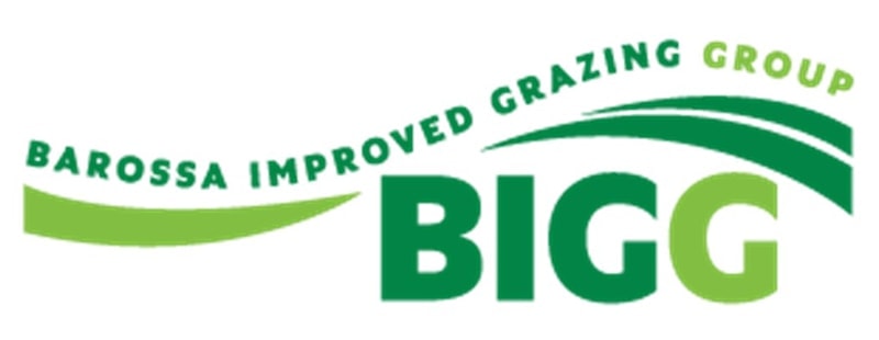BIGG Logo