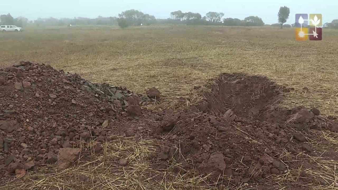 Using Gypsum to Improve Soil and Increase Water Use, Yields and Profits