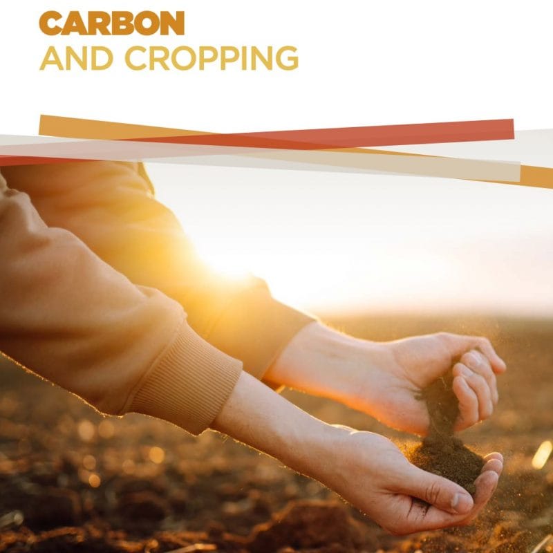 Carbon And Cropping Report FP