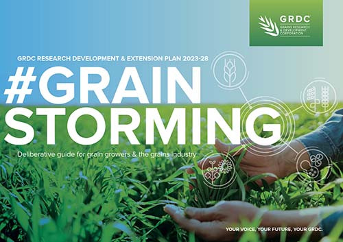 The "grain storming" stage will be the first opportunity for growers to contribute their insights and perspective on the drivers, threats and opportunities for the grains industry. Photo: GRDC