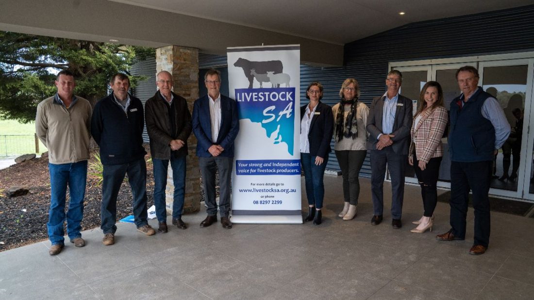 Livestock SA Board