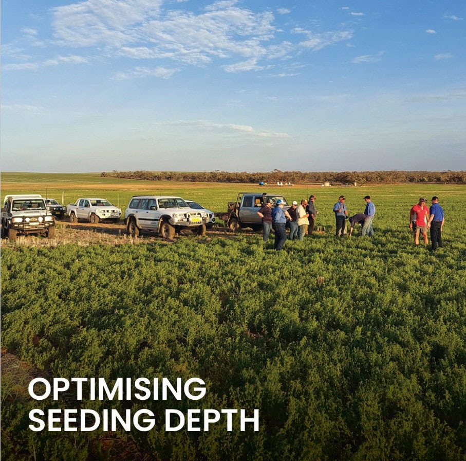 Optimising Seeding Depth