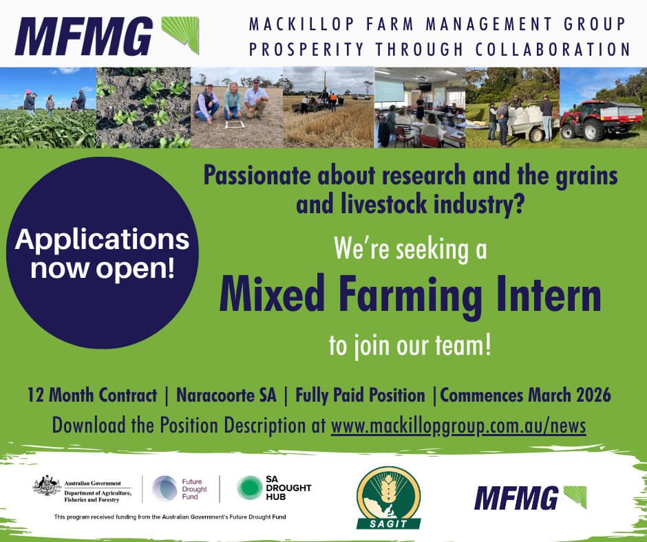 2025_Internposition_Social Tile