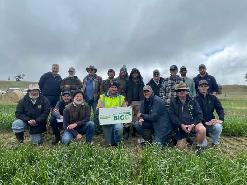 9e8331fa Fd11 8d8a 7cd0 7bcd76820488