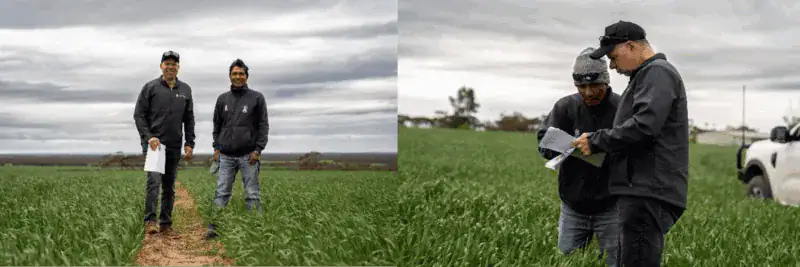 SARDI Research Officer Dr Buddhi Chaudhary & Agronomy Solutions Research Agronomist Dr Sean Mason 