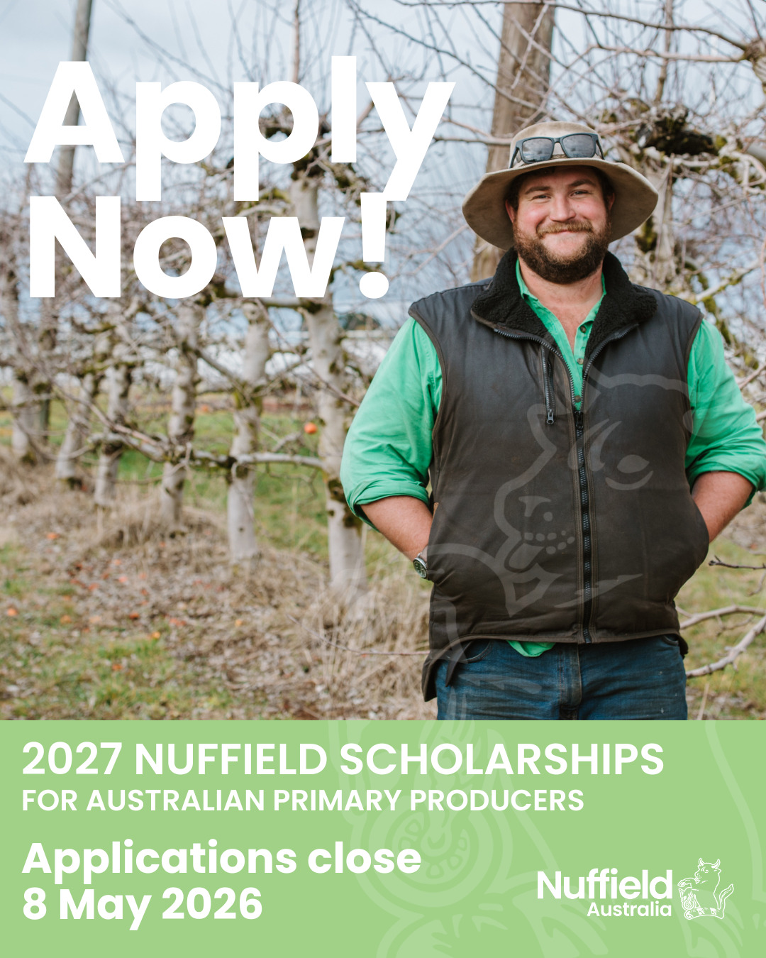 Apply Now! Iain MacLennan