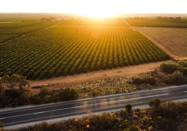 056FF652 3B2A 47FD 9E35 DCA7FBCCD7A3